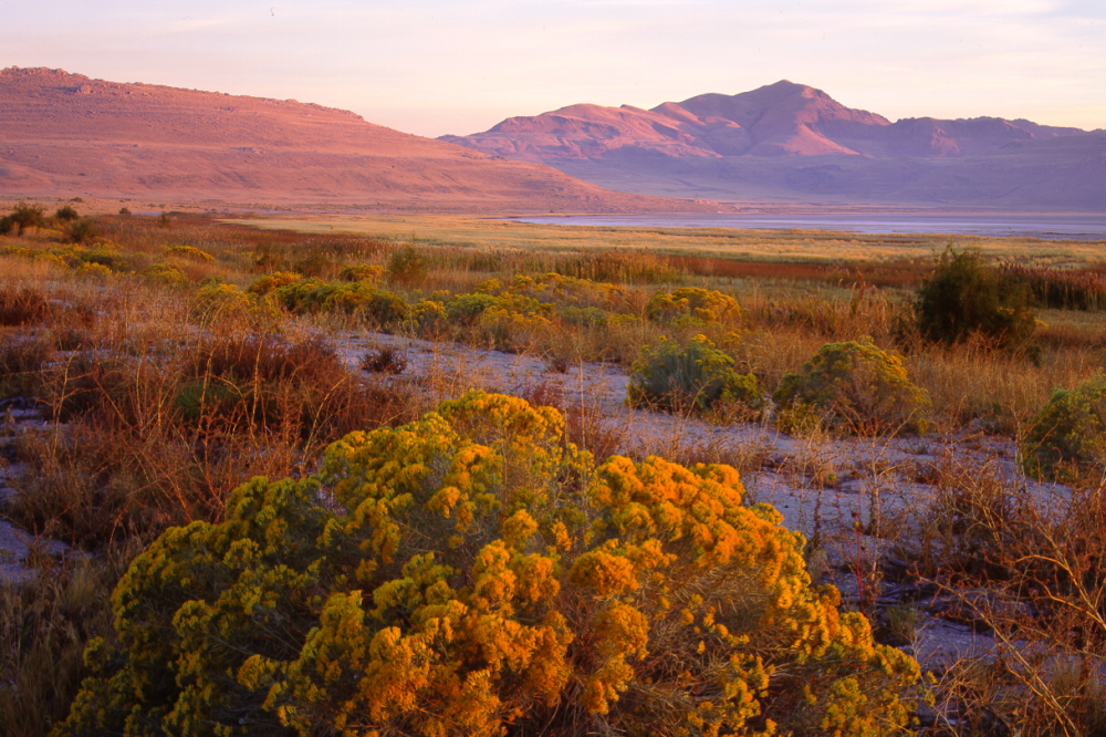 Antelope Island