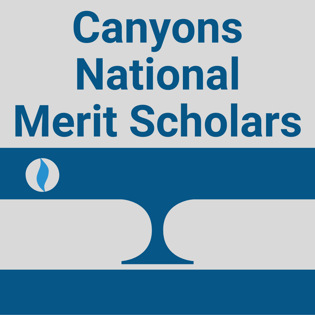 Merit Scholars
